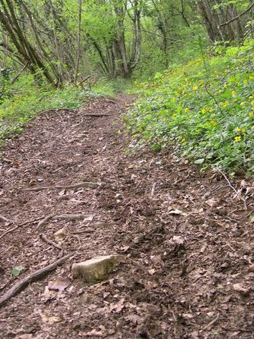 La descente d arguel